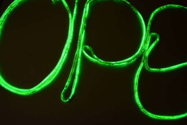 istock Lime green lighting with a specific pattern. Woven filaments, cable, wires with outgoing light. Neon electroluminescent wire with an inscription and letters open. 1155913410