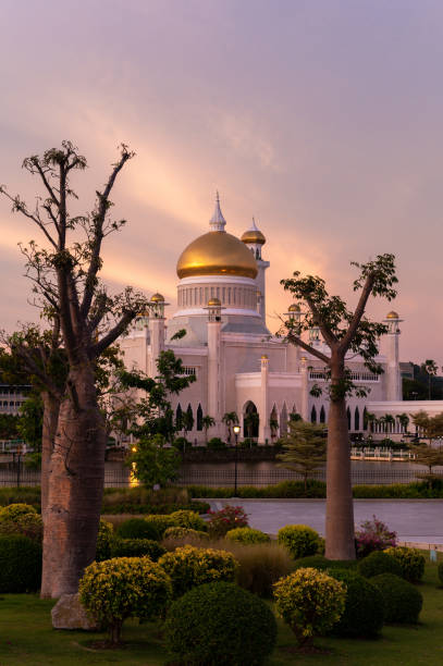 mezquita de omar ali saifuddien en brunei darussalam - bandar seri begawan fotografías e imágenes de stock