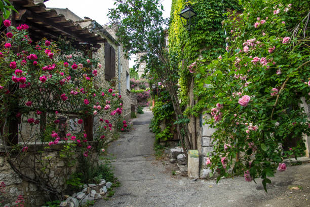 istock clod chalancon,drome,france 1155916226