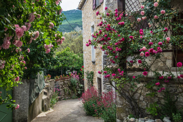 istock clod chalancon,drome,france 1155916358