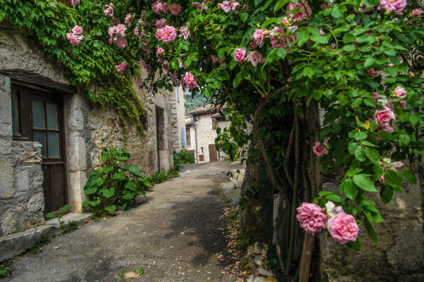 istock clod chalancon,drome,france 1155916426