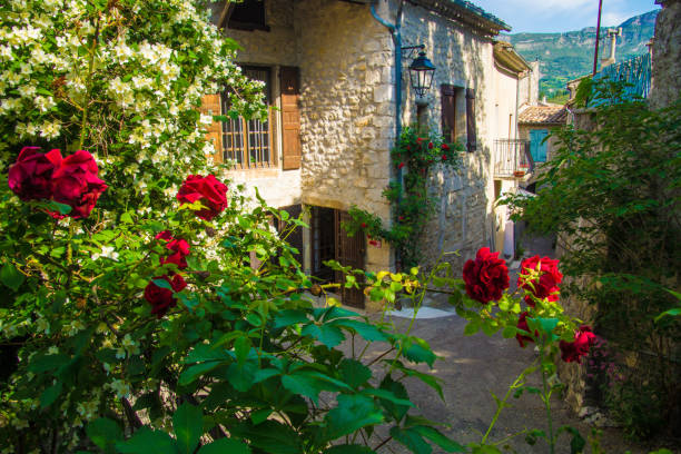 istock clod chalancon,drome,france 1155916564