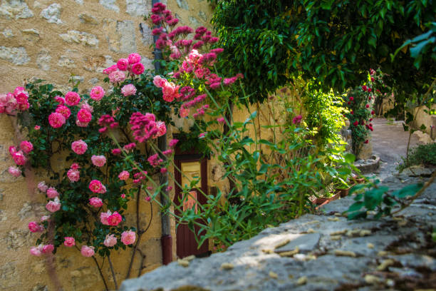 istock clod chalancon,drome,france 1155916576