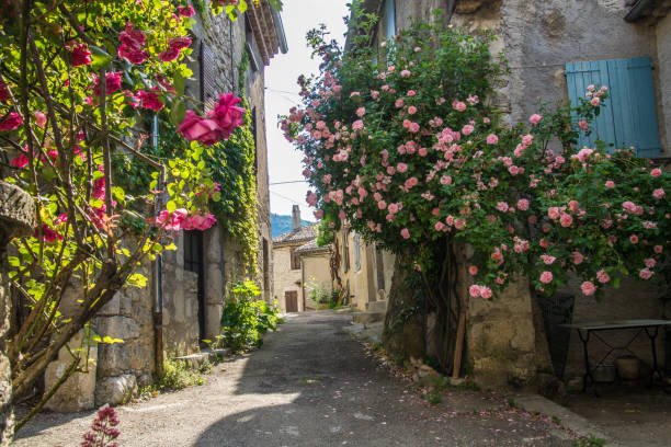 istock clod chalancon,drome,france 1155917160