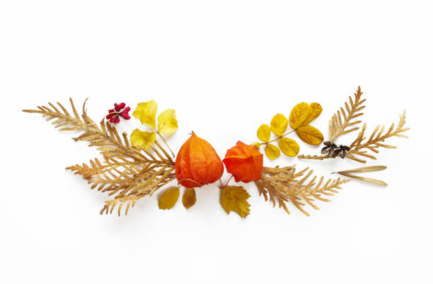 Colorful and bright round frame of fallen autumn leaves on white  background