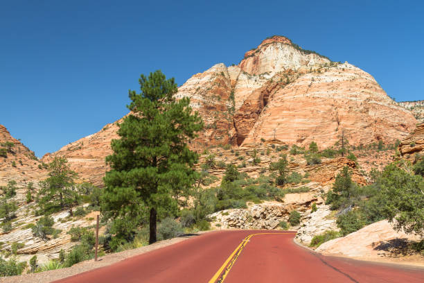 istock Rocks and road view at Zion National Park 1155919078