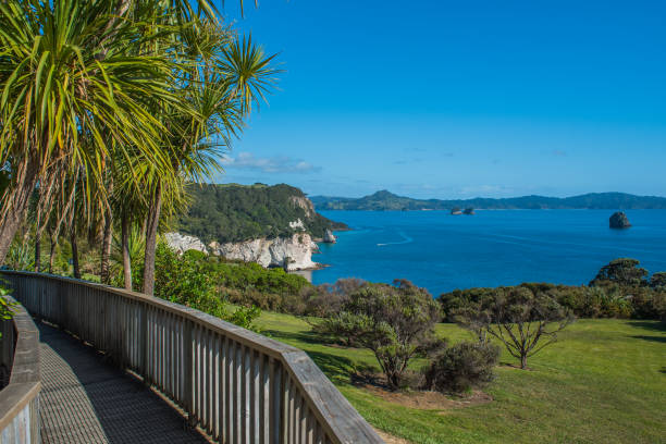 vista de la costa, península de coromandel, isla norte, nueva zelanda. copiar espacio para texto - new zealand cathedral cove sea sand fotografías e imágenes de stock