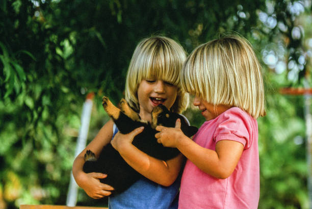 2 young blonde girls are engaged in holding a Rottweiler puppy.  They are outside and one child holds the dog and the other is touching it. They are smiling toddlers.