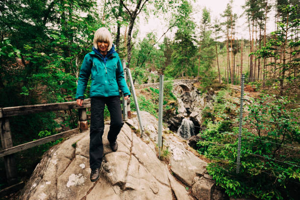 istock Bruar Falls, Perthshire, Scotland 1155923264
