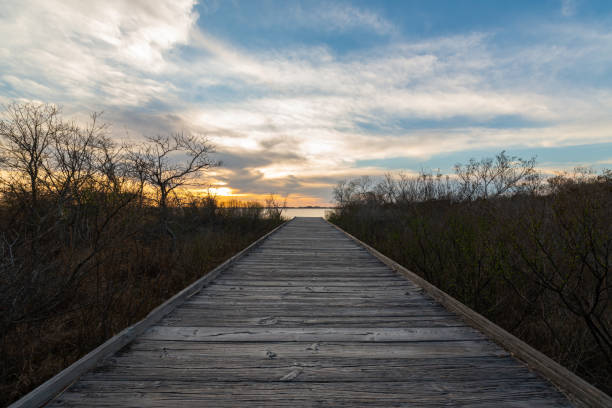 Boardwalk leading towards the bay at sunset Boardwalk heading towards Sinepuxent Bay at Assateague Island, Maryland. assateague island national seashore photos stock pictures, royalty-free photos & images