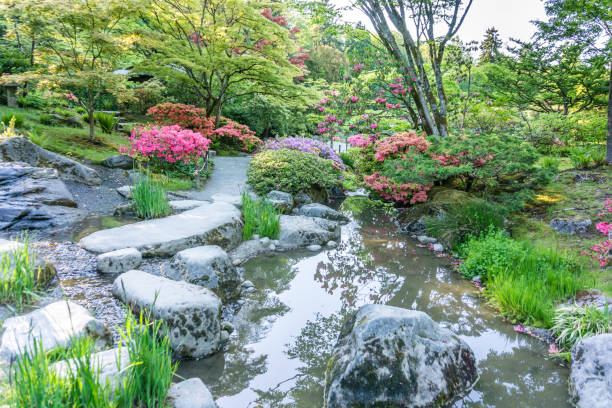 istock Lush Colorful Flower Garden 7 1155925744