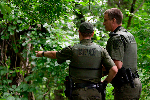 PA State Game Warden track down a two-year old male black bear handing in a wooded area during a five day long chase after multiple residents reported sightings in Montgomery County and Northwest Philadelphia, PA, on June 13, 2019. While rare inside the city limits it is not unusual in this time of the year as young bears start to migrate after being pushed away by their mothers.