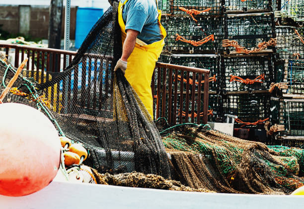 hauling fish net - rede de arrastão imagens e fotografias de stock