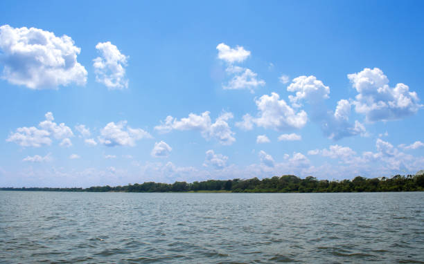 istock river sky clouds jungle natural travel vacations 1155934370