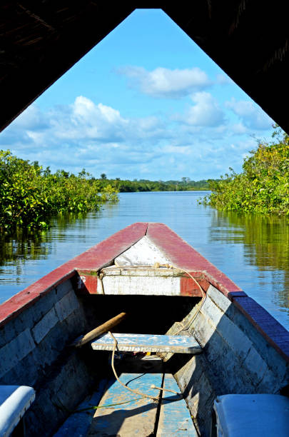 istock river sky clouds jungle natural travel vacations 1155934683