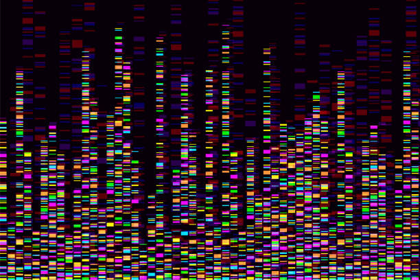 illustrations, cliparts, dessins animés et icônes de infographie du test adn. illustration de vecteur. carte de séquence de génome. modèle pour votre conception. contexte, papier peint. barcoding. visualisation des données génomiques volumineuses - genetic research men substances analyzing