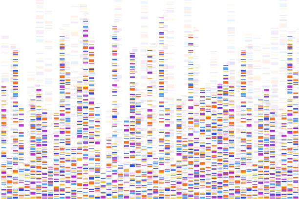 dna 테스트 인포그래픽. 벡터 그림입니다. 게놈 서열 맵. 설계용 템플릿입니다. 배경, 배경 화면. 바코드. 빅 유전체 데이터 시각화 - chromosome stock illustrations