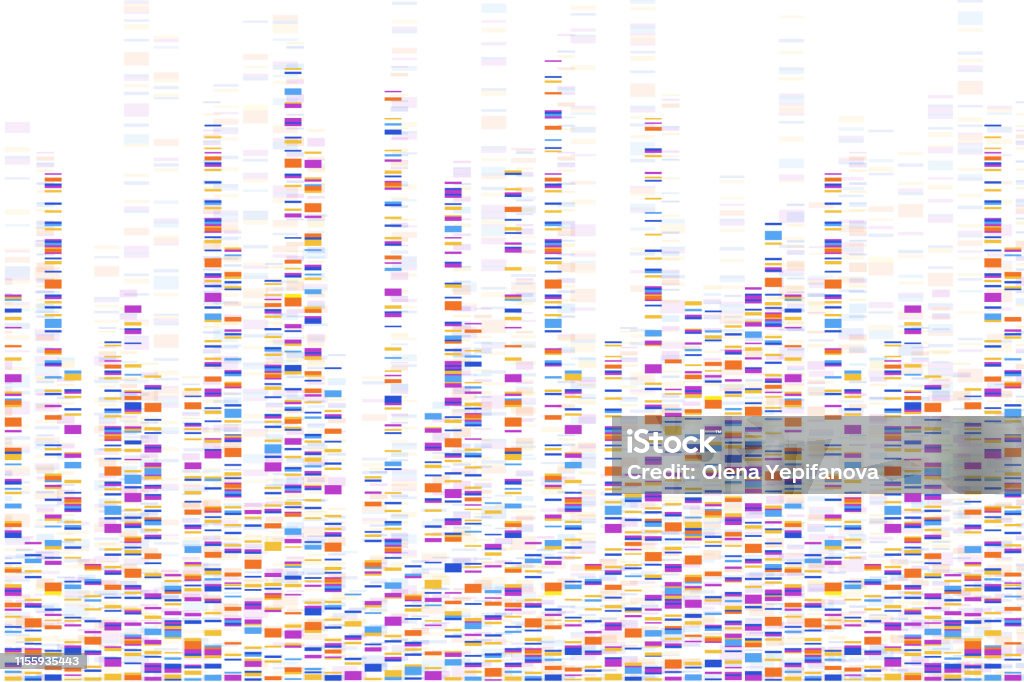 Dna Screen Gradient Map Dna Test Infographic Vector Illustration Genome Sequence Map Template ...