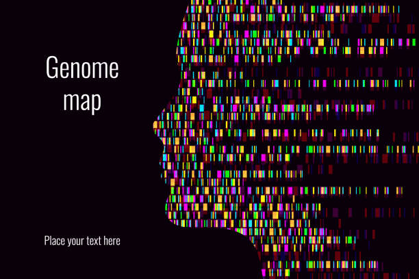 ilustraciones, imágenes clip art, dibujos animados e iconos de stock de infografía de la prueba de adn. ilustración vectorial. mapa de secuencia del genoma. plantilla para su diseño. fondo, fondo de pantalla. barras. visualización de big genomic data - dna chromosome biology medicine