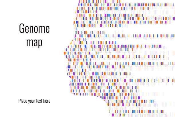 Dna test infographic. Vector illustration. Genome sequence map. Template for your design. Background, wallpaper. Barcoding. Big Genomic Data Visualization Dna test infographic. Vector illustration. Genome sequence map. Template for your design. human genome map stock illustrations