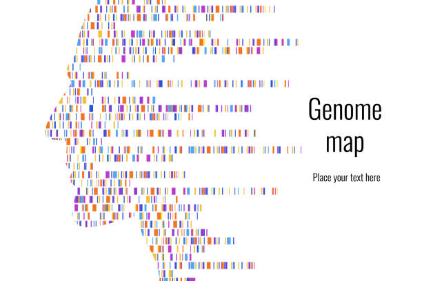 ilustraciones, imágenes clip art, dibujos animados e iconos de stock de infografía de la prueba de adn. ilustración vectorial. mapa de secuencia del genoma. plantilla para su diseño. fondo, fondo de pantalla. barras. visualización de big genomic data - secuencia de imágenes