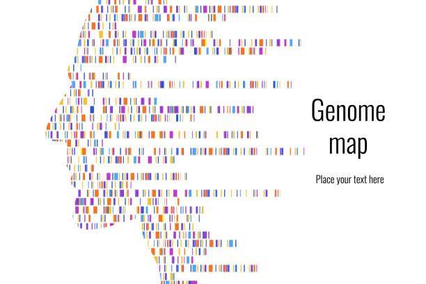 Dna test infographic. Vector illustration. Genome sequence map. Template for your design. Background, wallpaper. Barcoding. Big Genomic Data Visualization Dna test infographic. Vector illustration. Genome sequence map. Template for your design.Dna test infographic. Vector illustration. Genome sequence map. Template for your design. sequential series stock illustrations