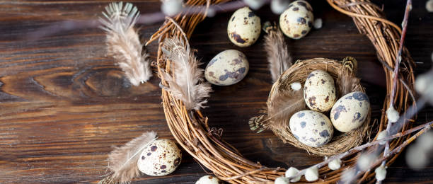 istock quail eggs, feathers, willow branches on a wooden table. Vintage effect 1155938650
