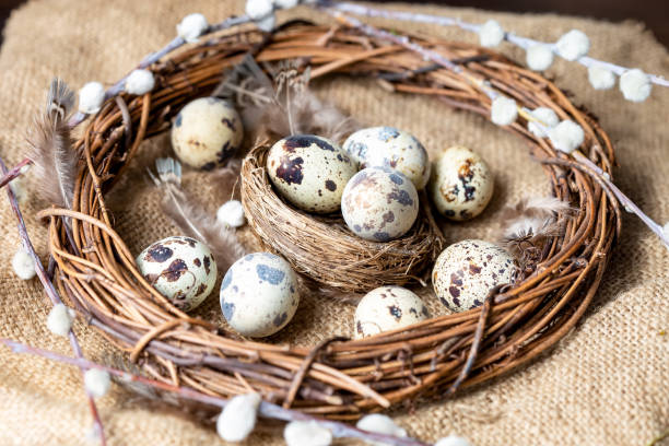 istock quail eggs, feathers, willow branches on a wooden table. Vintage effect 1155938671