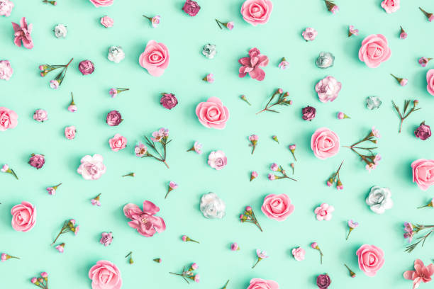 Composición De Flores Patrón Hecho De Flores Rosas Sobre Fondo De Menta Plano Vista Superior Foto de stock y más banco de imágenes de Belleza - iStock Composición De Flores Patrón Hecho De Flores Rosas Sobre Fondo De Menta Plano Vista Superior Foto de stock y más banco de imágenes de Belleza - iStock