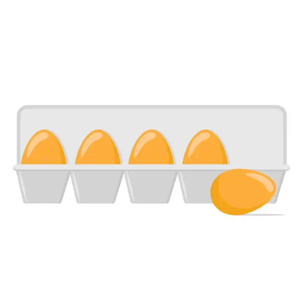 Vector illustration of Chicken eggs in a tray on white, stock vector illustration