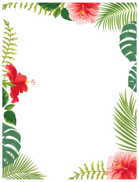 illustrazioni stock, clip art, cartoni animati e icone di tendenza di fiori e piante delle hawaii - palm leaf frond leaf backgrounds