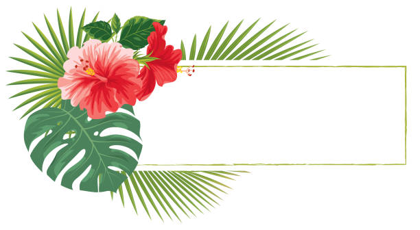 illustrazioni stock, clip art, cartoni animati e icone di tendenza di sfondo con fiori tropicali - palm leaf frond leaf backgrounds