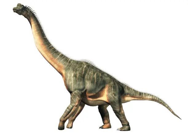 Photo of Brachiosaurus