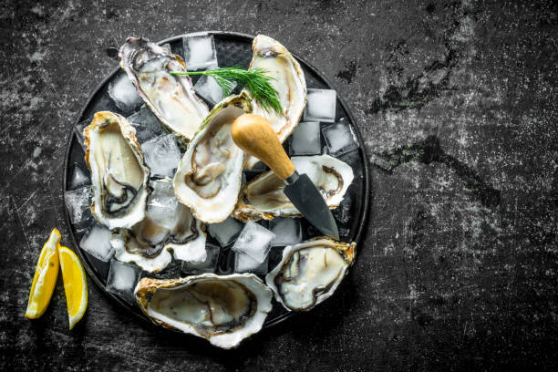istock Fresh raw oysters on a plate with ice, knife and lemon slices. 1155949647