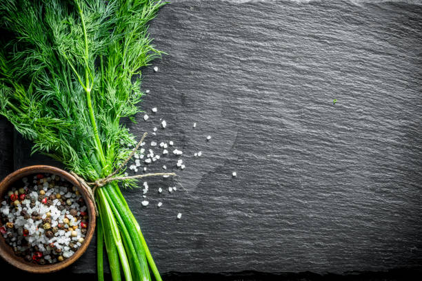 istock Bunch of fresh dill with spices. 1155952118
