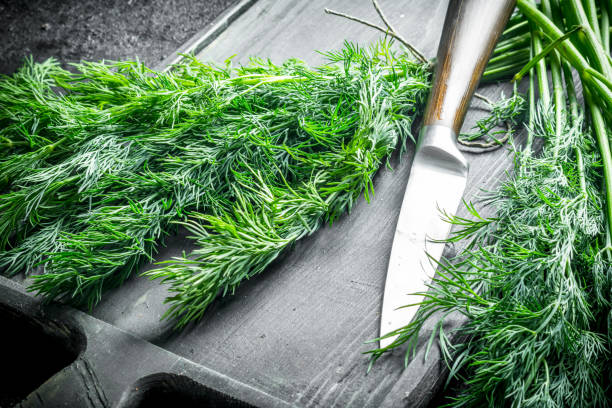 istock Fresh dill on a cutting Board with a knife. 1155952357