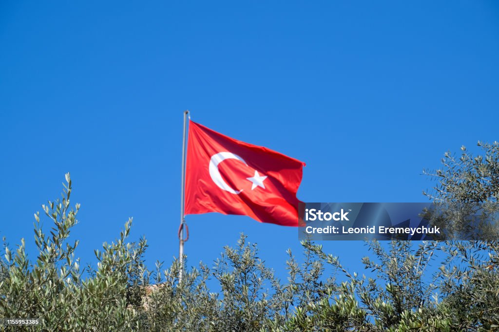 Turkish flag against the blue sky and tops of the trees. Turkish flag against the blue sky and the tops of the trees. Asia Stock Photo
