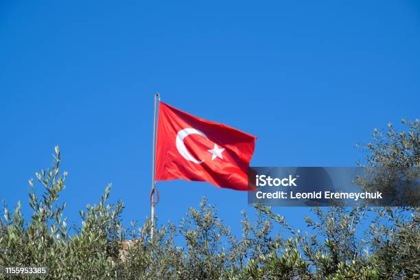 Turkish Flag Against The Blue Sky And Tops Of The Trees Stock Photo - Download Image Now