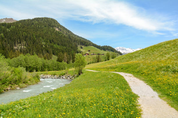 턱스 강과 질레르탈 알프스가 있는 턱서탈 계곡을 바라보며 여름에는 마을 준스와 힌터턱스 빙하, 티롤 오스트리아 유럽 - tux 뉴스 사진 이미지
