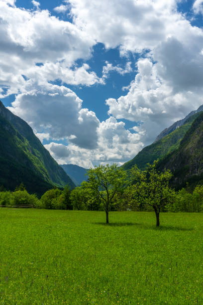 istock Typical alpine landscape at the Soca valley 1155955717
