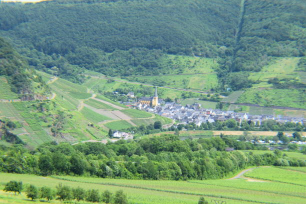 istock view over terraced vineyards to Mosel 1155958399