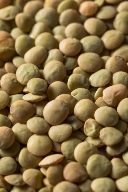 istock Dry Organic Green Lentils 1155960806