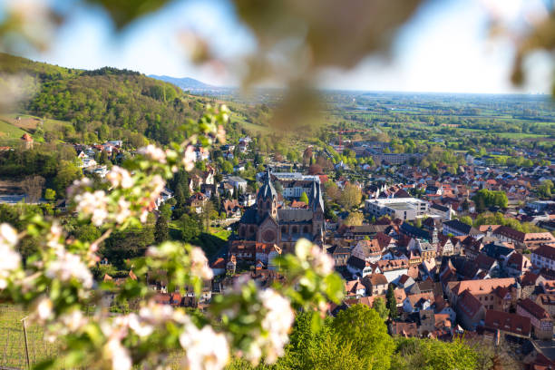 ciudad histórica heppenheim bergstrasse hesse alemania - odenwald fotografías e imágenes de stock