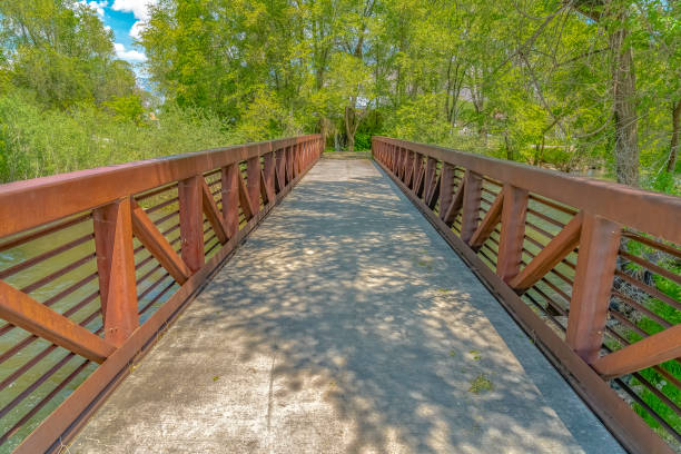 istock Bridge with rusty metal guardrails over a lake viewed on a sunny day 1155963052