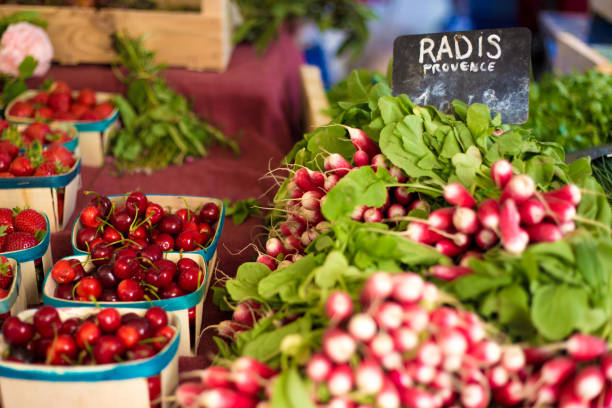 istock Provence, France: Sunlit French Breakfast Radishes and Cherries 1155963190
