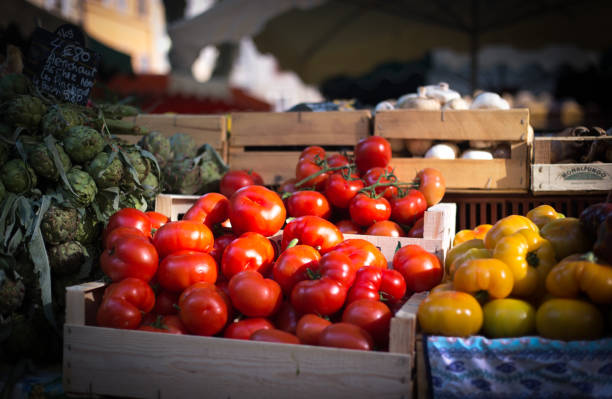 provence, france: tomates d'héritage sunlit dans les caisses au marché - heirloom tomato food tomato crate photos et images de collection