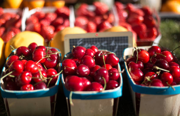 istock Provence, France: Boxes of Fresh Cherries at Market 1155964187