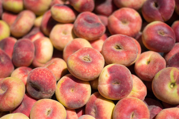 Erotic Peaches, strange penis like growth on top portion of five peaches  looks like a protruding  penises.  Image shot with Canon Rebel T6s 24 Megapixel DIGIC 6, 24-105mm f/4L IS USM lens.