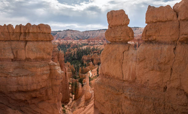 istock Hoodoos inside Bryce Canyon National Park 1155966199