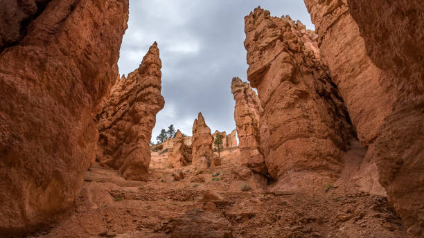 istock Towering sandstone hoodoos inside Bryce Canyon 1155966245